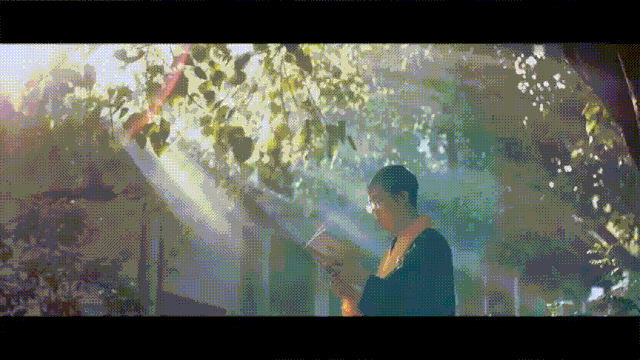 5.gif