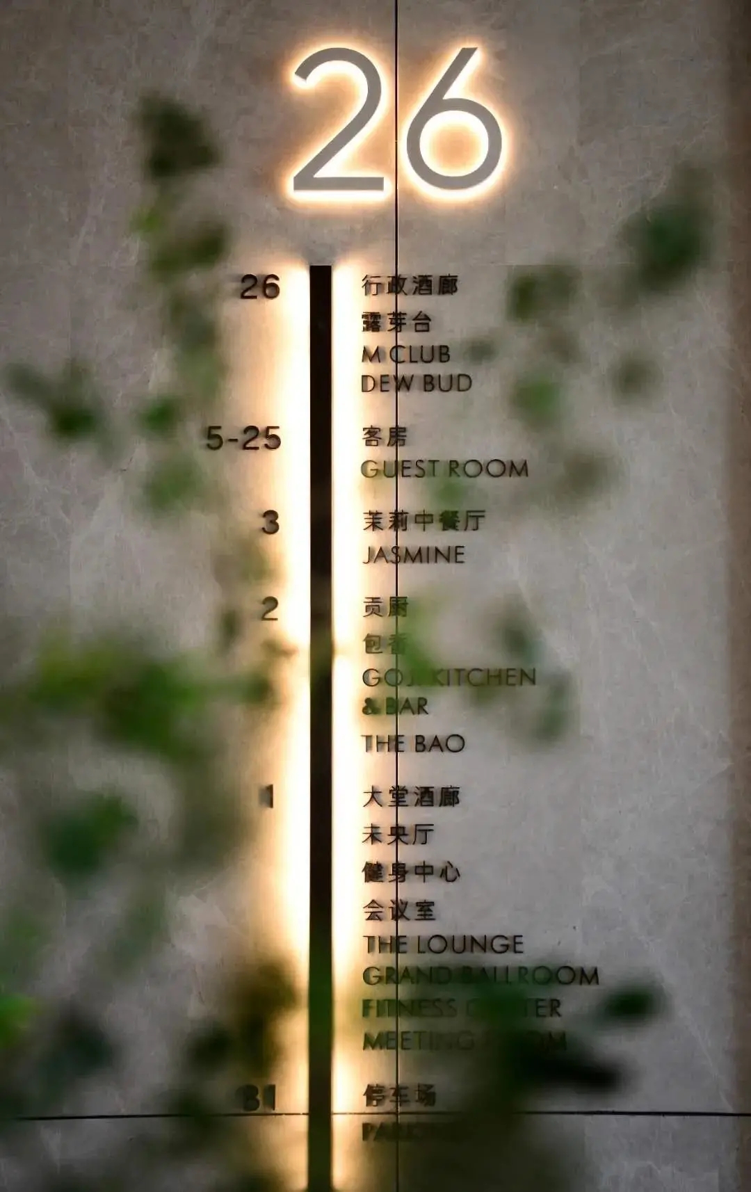 17.webp.jpg